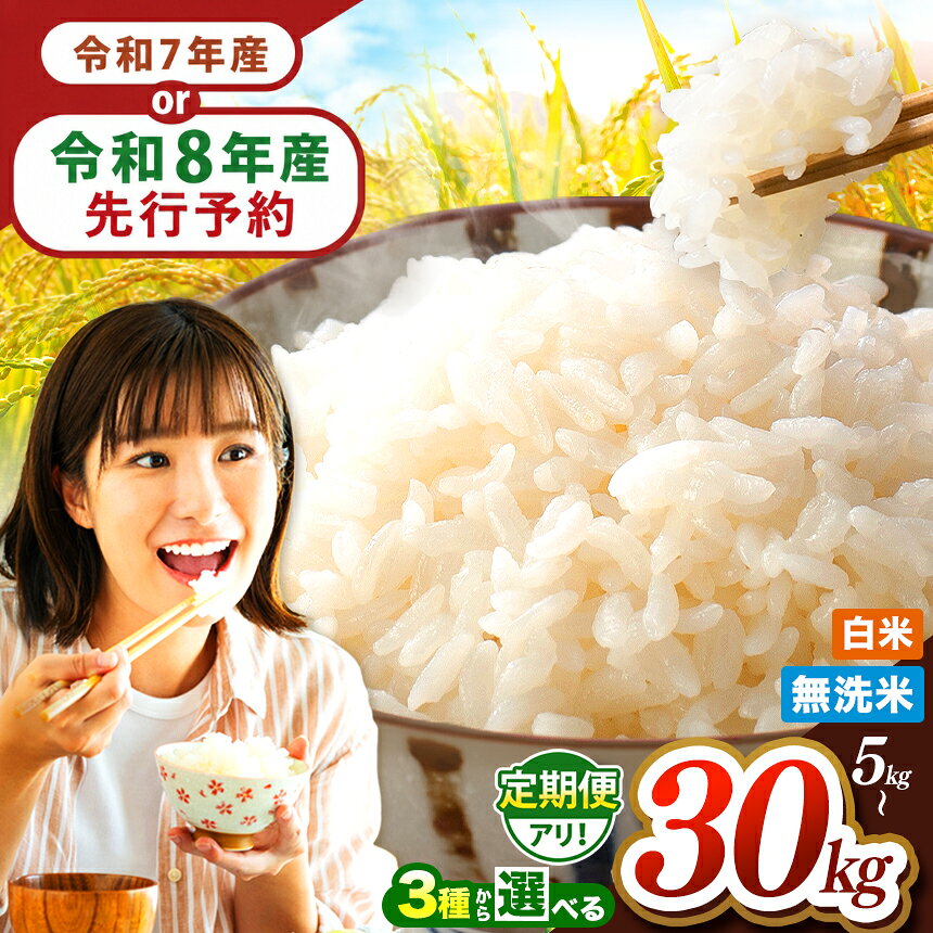無洗米 10kg ひのひかり 5kg / 森のくまさん5kg 白米 10kg （5kg×2袋） 単一原料米 熊本県産 送料無料 おにぎり おうちごはん 炊立てご飯 ヒノヒカリ