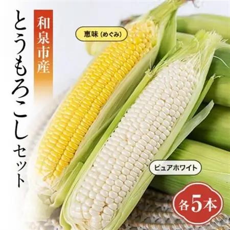 和泉市産のとうもろこしセット(黄色5本・白色5本)【配送不可地域：離島】【1518411】