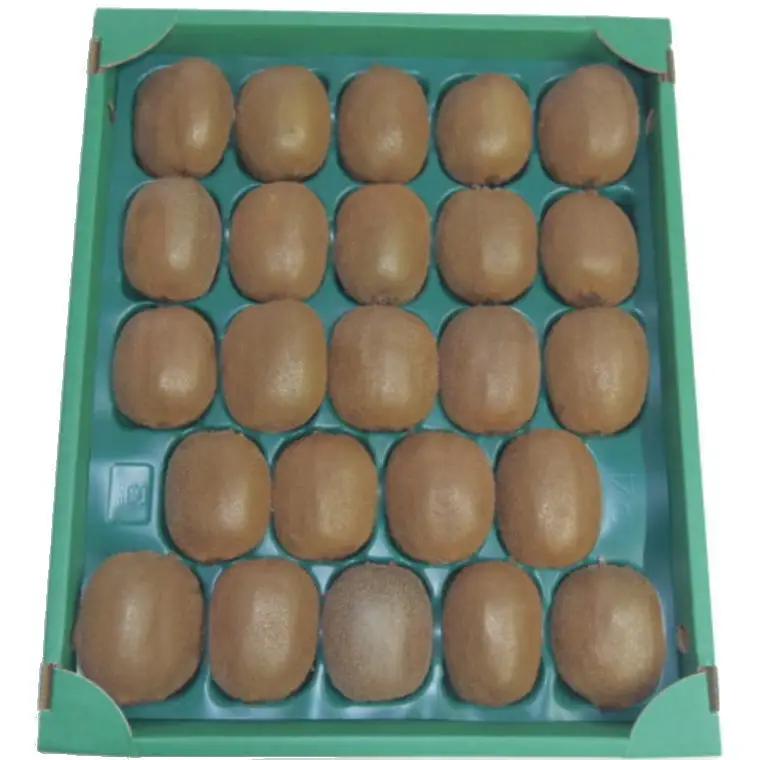 和歌山の下津で採れたキウイフルーツ約3.6kg（玉数おまかせ・秀品）※2027年1月中旬～2027年3月上旬頃に発送【tec502B】