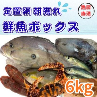 ふるさと納税 奈半利町 定置網朝どれ鮮魚ボックス6kg　133003
