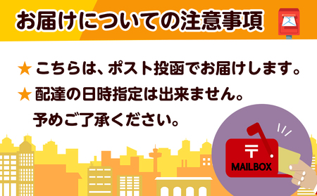 水出し緑茶ティーバッグ13個入り※ポスト投函≪みやこんじょ快速便≫_L2-C301-R_(都城市) 緑茶 水出し テトラ型ティーバッグ ポスト投函