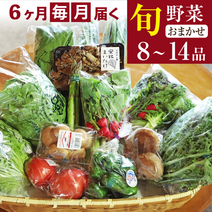 八幡平のふるさと産直箱（大） 6ヶ月定期便  ／ 産地直送 新鮮 野菜 【あすぴーて】