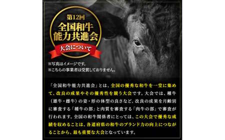 713-2 鹿児島産 黒毛和牛 A4等級 シャトーブリアン 2枚入 合計200g KN021-019-01 国産 牛にく 牛肉 ヒレ肉 高級部位 ステーキ 財宝 ふるさと納税 鹿児島 鹿屋市 おすすめ