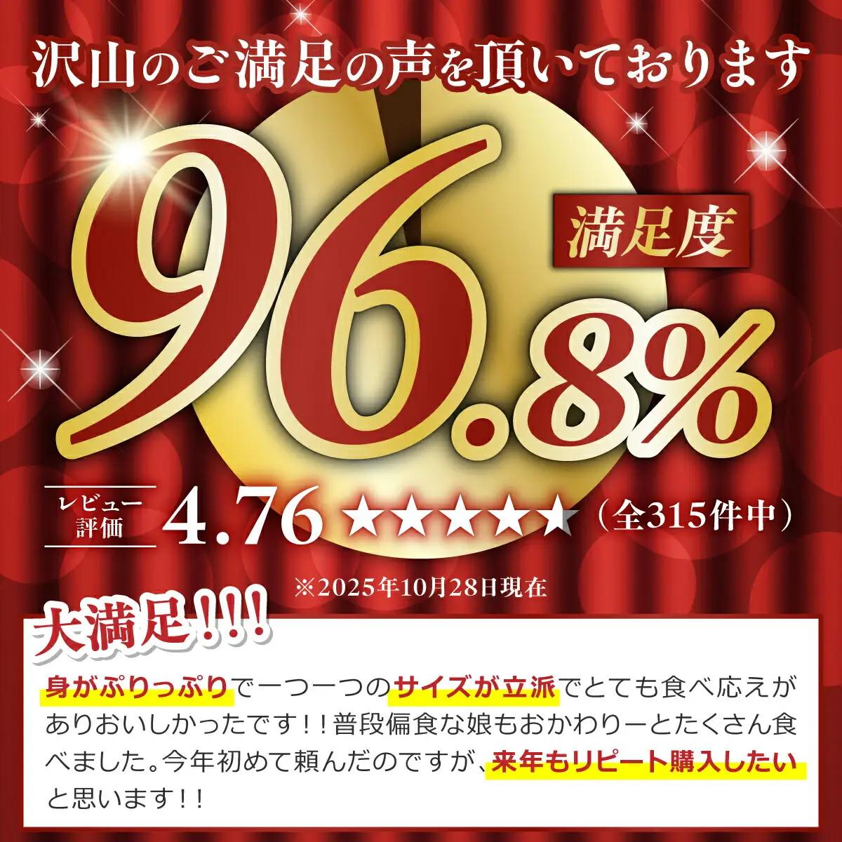 【訳あり】ブラックタイガー 冷凍 むきえび 600g下処理済み【mk-0708】