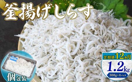 【定期便12回】釜揚げしらす 1.2kg（300g×4パック）| 釜揚げ ごはん 丼 パスタ 魚 料理 高知県 南国市 シラス しらす ちりめん じゃこ かちり 小魚 魚貝 魚貝類 しらす シラス 海鮮 しらす丼 シラス丼 ふるさと納税しらすしらす おすすめ 高知産しらす 高知県産しらす 米 こめ コメ に合う
