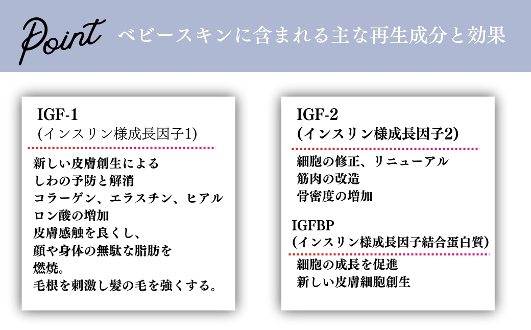 SBC ベビースキン パーフェクトリジェネレーション美容液 20ml | SBC 湘南美容 湘南美容クリニック 美容液 埼玉県 上尾市