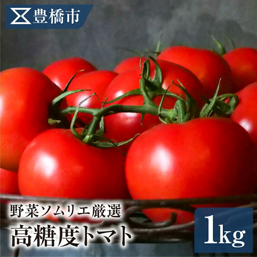 【ふるさと納税】《先行予約》豊橋市産 高糖度トマト 1kg 産地直送