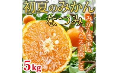 初夏のみかん なつみ５kg ふるさと納税 みかん<br>※着日指定不可<br>※2026年4月中旬頃〜2026年4月下旬頃に順次発送予定