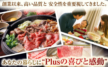【全6回定期便】【厳選部位】【A4~A5】長崎和牛サーロインしゃぶしゃぶすき焼き用　1kg（500g×2p）【株式会社 MEAT PLUS】[QBS088]