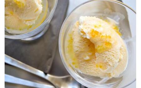 柚子三昧 ゆず玉 ゆずシロップ セット 期間限定 ゆず 柚子 シロップ 詰め合わせ セット 数量限定 6個 200g 2パック ギフト 贈り物 プレゼント  料理 お酒  TR-18