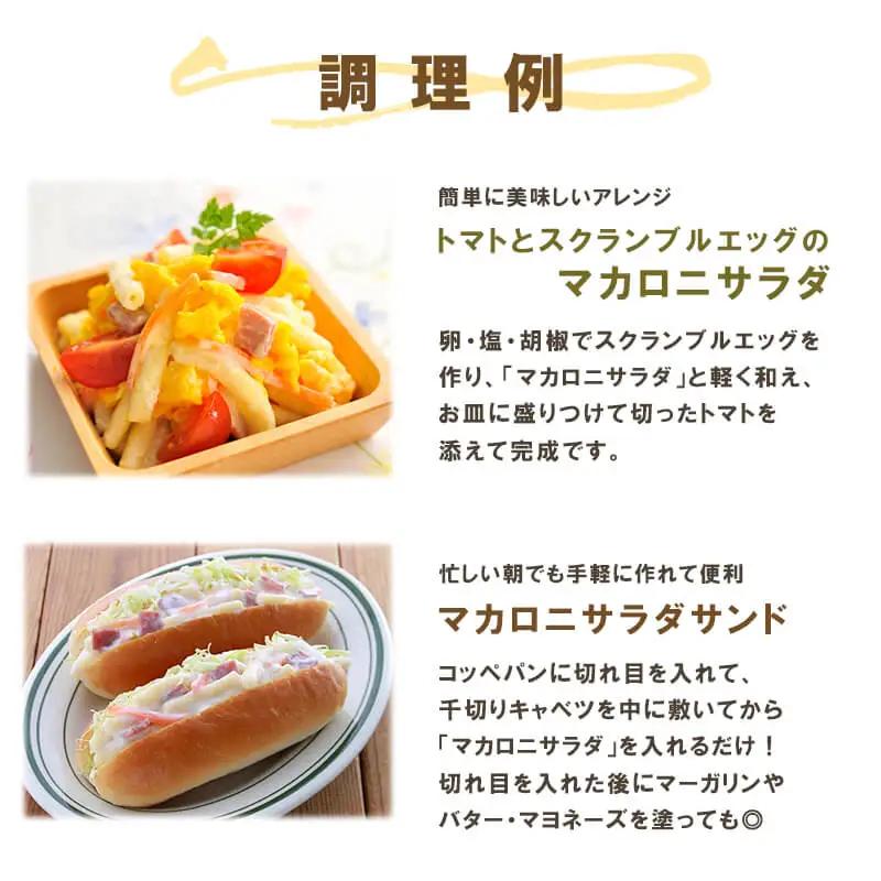 サラダ パウチ 2種 40袋 ごぼう マカロニ お惣菜