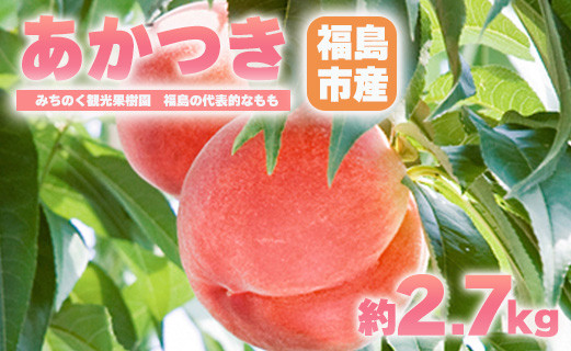 
No.2344もも「あかつき」贈答用　約2.7kg【2025年発送　先行予約】
