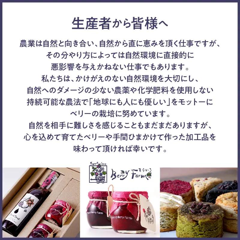 冷凍ベリー2種セット ベリー 冷凍 セット