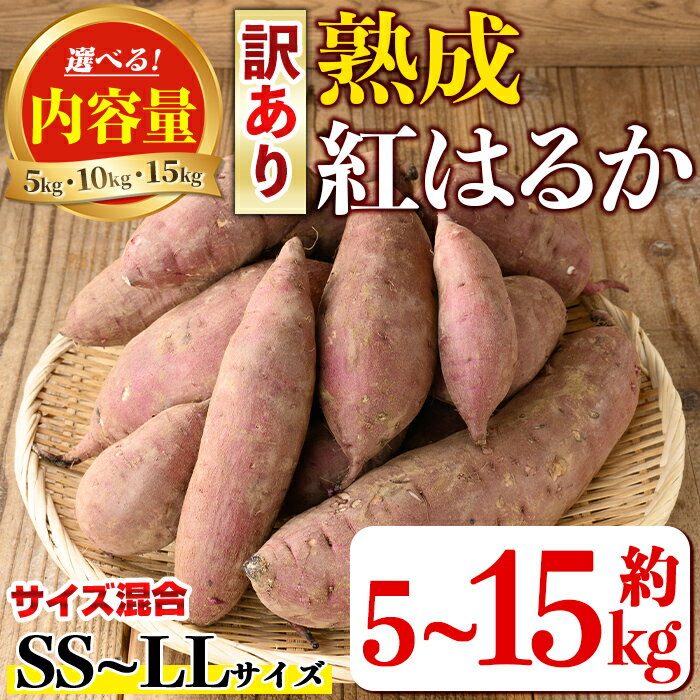 【ふるさと納税】＜内容量が選べる！＞《訳あり》熟成紅はるか(約5kg～15kg・SS〜LLサイズ混合) 訳あり さつまいも 紅はるか 鹿児島 生芋 完熟 長期熟成 土付き べにはるか サツマイモ 焼き芋に【いさ工房】