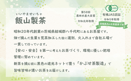 ＜ギフト＞《簡単！便利！》急須のいらない粉末緑茶[AE011ya]