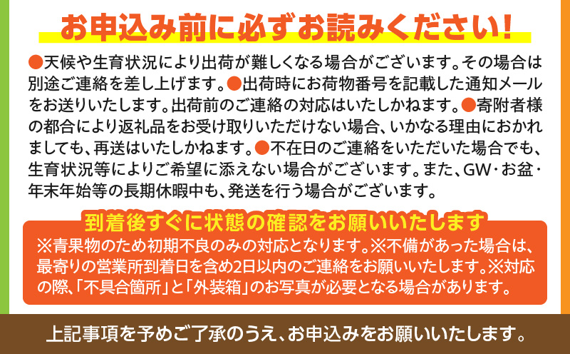 《2026年9月～2027年2月発送先行予約》【数量・期間限定】南国宮崎の農園産直 フィンガーライム100g 果実 柑橘 果物
