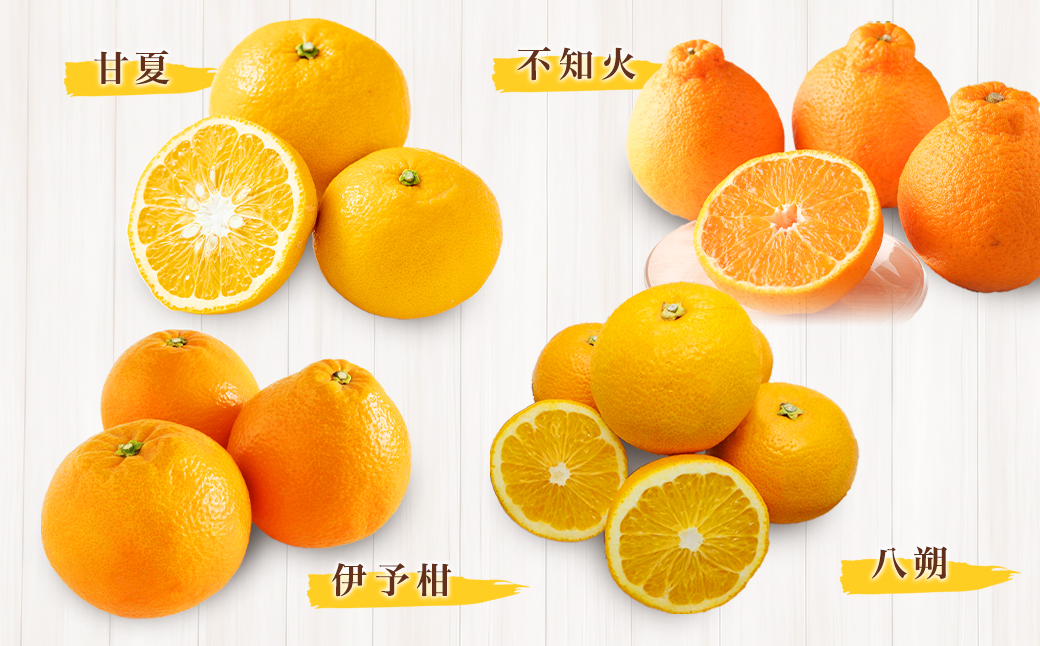 【全3回定期便】春冬限定 柑橘 お楽しみ定期便 みかん ポンカン 不知火等 ／ 早生みかん 中生みかん 甘夏 八朔 伊予柑 果物 フルーツ 長崎 九州 定期便 【2025年11月上旬～2026年3月下