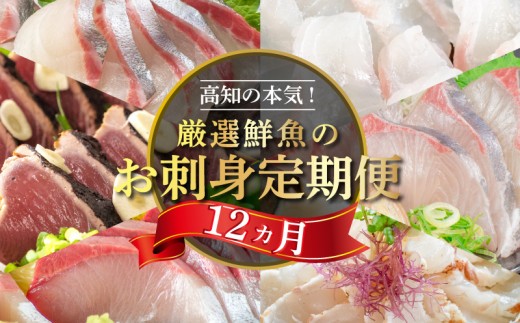【冷凍便】 厳選! 12カ月 お楽しみ 定期便 刺身 定期便 小島水産 がお届けする! 美味しい お刺身 1年 一年 全12回 12か月 12カ月 コース 冷蔵 れいとう 鮮魚 海鮮 下処理済 産地直送 新鮮 鰤 ブリ 勘八 カンパチ 鯛 真鯛 タイ かつおのタタキ 鰹 カツオ 鰹のたたき 縞鯵 シマアジ 高知県 須崎市 魚介類 定期便 刺身定期便 肉より魚 旬の鮮魚