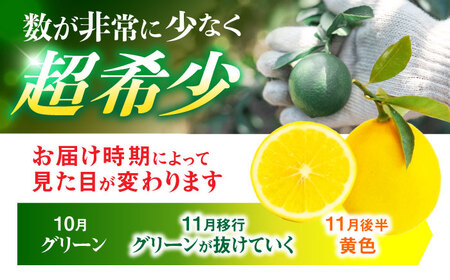 【先行予約】《長崎産》マイヤーレモン（５ｋｇ）