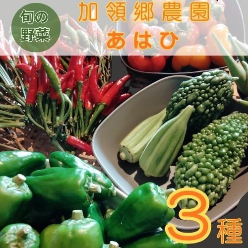
                  130001　露地栽培にこだわった季節の野菜ボックス  お野菜 季節 野菜 旬 新鮮 産地直送 露地 詰め合わせ やさい おいしい 自然 セット  おまかせ 詰合せ 旬の野菜 お試し 3種類 少量
                