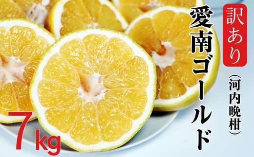 訳あり 愛南ゴールド ( 河内晩柑 ) 7kg みかん 蜜柑 河内晩柑 和製 グレープフルーツ 傷 不揃い 規格外 常温 愛媛県 愛南町 青果市場 発送: 4月上旬～なくなり次第終了（みかん 愛南ゴールド みかん 河内晩柑 みかん 和製 みかん）