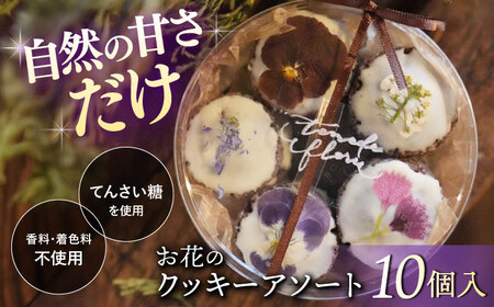 クッキーアソート 1ケース 10個入り [CEM008] クッキー お菓子