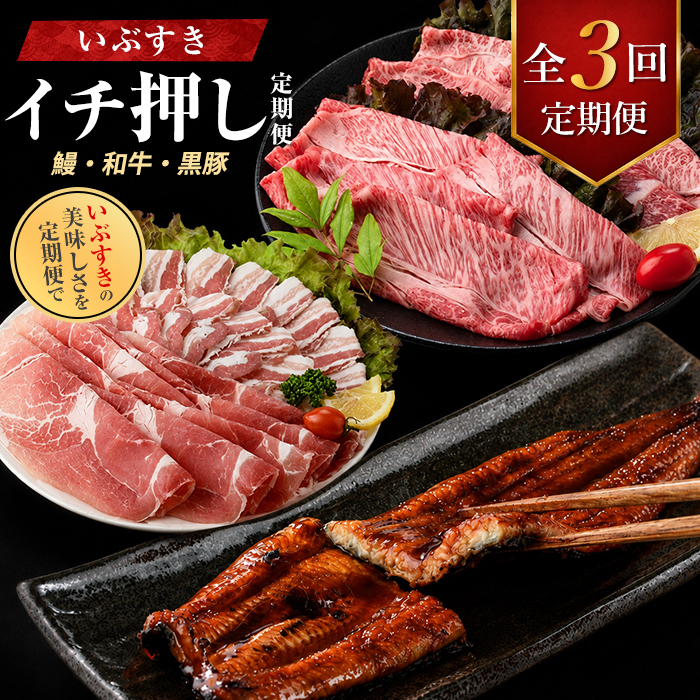 【全３回定期便】鰻・和牛・黒豚 指宿のイチ押し定期便(IBZ999-001) うなぎ 鰻 ウナギ 国産 蒲焼き かばやき うな重 うな丼 鹿児島県 牛肉 すき焼き しゃぶしゃぶ スライス 冷凍 肉 黒