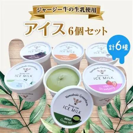 ジャージー牛の生乳を使用したアイス6個セット(ミルク・チョコ・コーヒー・いちご・抹茶・かぼちゃ)【配送不可地域：離島】【1576638】