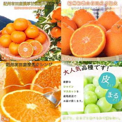 ふるさと納税 有田川町 【発送月固定定期便】紀州和歌山産旬の果物セット(みかん・不知火・清見・シャイン)全4回