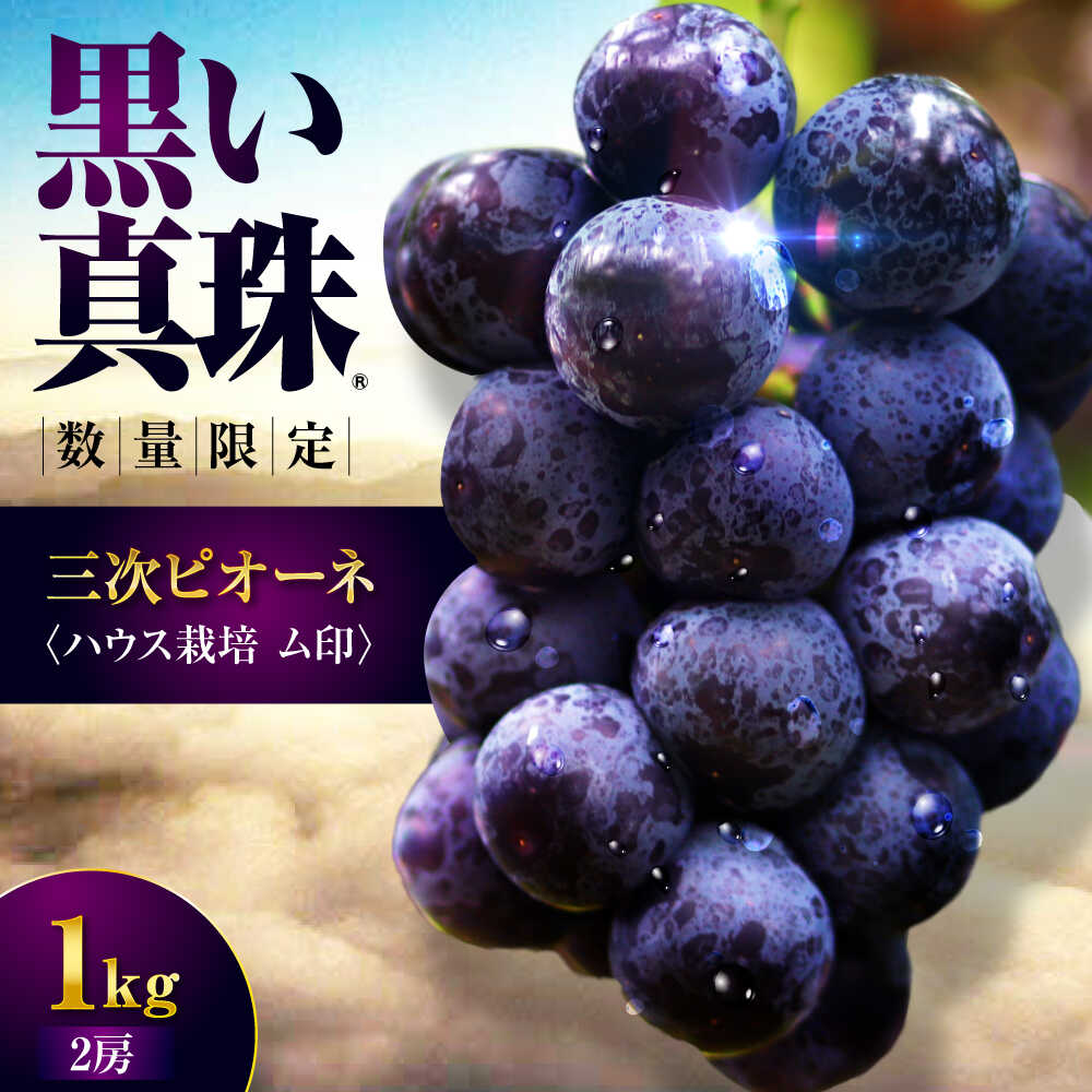 【ふるさと納税】【先行予約】【7月中旬以降順次発送】三次ピオーネ ハウス栽培ム印 1kg （2房） 80セット限定 ぶどう ピオーネ 葡萄 ブドウ フルーツ 果物 三次市 / 三次ピオーネ生産組合 [APBD001]