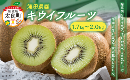 体が喜ぶ☆キウイフルーツ 1.7kg～2kg 【2026年12月上旬-2027年4月下旬発送】 浦田農園 キウイフルーツ キウイ フルーツ くだもの 果物 ミネラル豊富 太良町 国産 贈答用