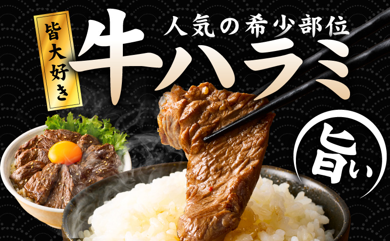 【満足牛ハラミ】中辛タレ漬け 合計2.5kg 【味付け ハラミ 小分け 焼くだけ 簡単調理 BBQ 牛肉 250g×10P】