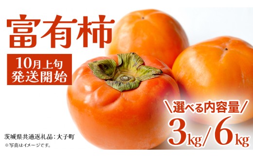 《 選べる 内容量 》富有柿 約3kg / 約6kg【2026年10月上旬発送開始】(茨城県共通返礼品：大子町) 柿 カキ かき 果物 フルーツ 旬 季節限定 期間限定
