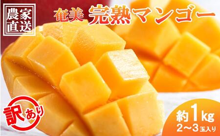 【2026年 先行予約】奄美完熟マンゴー 訳あり 家庭用 約1kg(2～3玉入り) 農家直送！|マンゴー