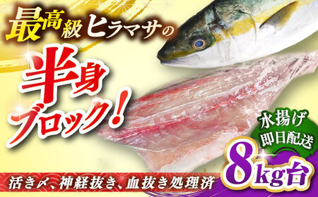 壱岐島産天然ヒラマサ（8キロ台・半身ブロック） 《壱岐市》【壱岐島　玄海屋】[JBS089] ヒラマサ 魚 刺身 煮物 カルパッチョ お寿司 118000 118000円 のし プレゼント ギフト 冷蔵配送 九州