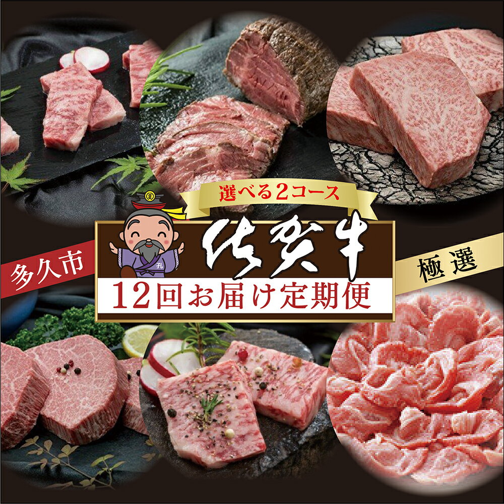 【ふるさと納税】【毎月お届け 肉の定期便】j-2 / j-17 極選 佐賀牛 全12回 月替り 選べる内容量 計15.3kg / 17.4kg お届け 食べ比べ サーロイン ハンバーグ ヒレ ステーキ カルビ 焼肉 肩ロース しゃぶしゃぶ すき焼き ローストビーフ 定期便 j-2