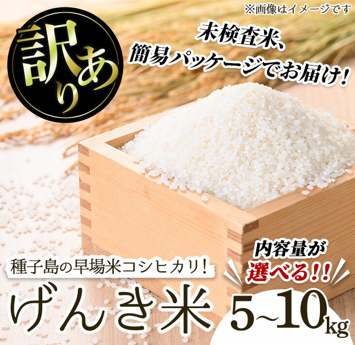 【ふるさと納税】＜先行予約受付中！2025年8月頃より順次発送予定＞＜訳あり・未検査＞早場米コシヒカリ！島のめぐみ げんき米(5～10kg) 鹿児島県産 種子島 こしひかり 未検査米 簡易 パッケージ 米 お米 おこめ 白米 お弁当 訳アリ 家庭用 フードロス 【油久げんき村】