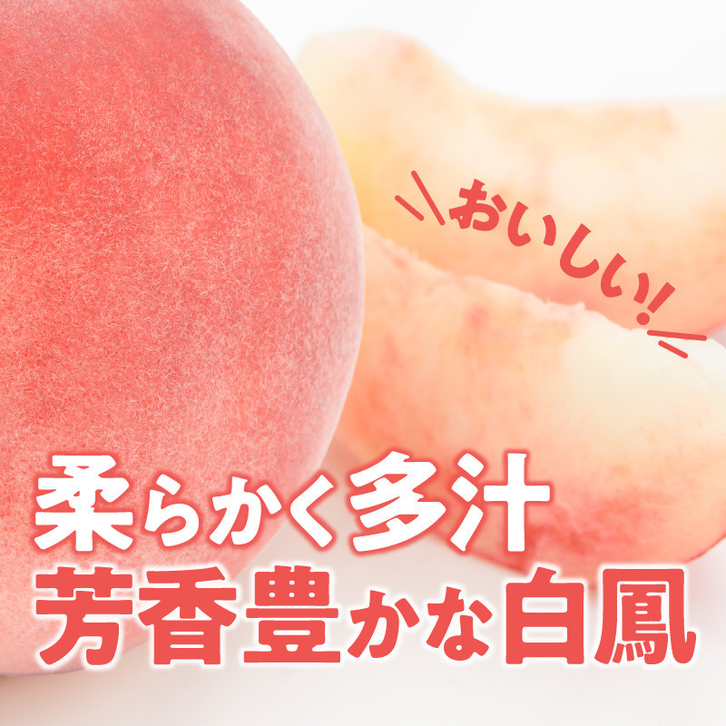 【数量限定】 しのおかの大きな桃(白鳳・特秀クラス）