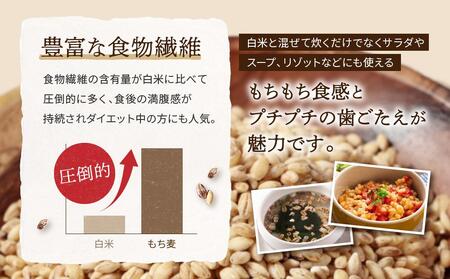 飛騨高山で有機栽培した「もち麦」はねうまもち 1kg | もち麦 雑穀 もち麦 JC016