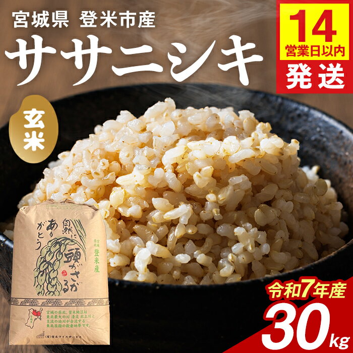 【ふるさと納税】【14営業日以内に発送予定】≪令和7年産≫ ササニシキ 玄米 30kg 登米市産 お米 おこめ 米 コメ ささにしき ご飯 ごはん おにぎり お弁当 【登米ライスサービス株式会社】tm150