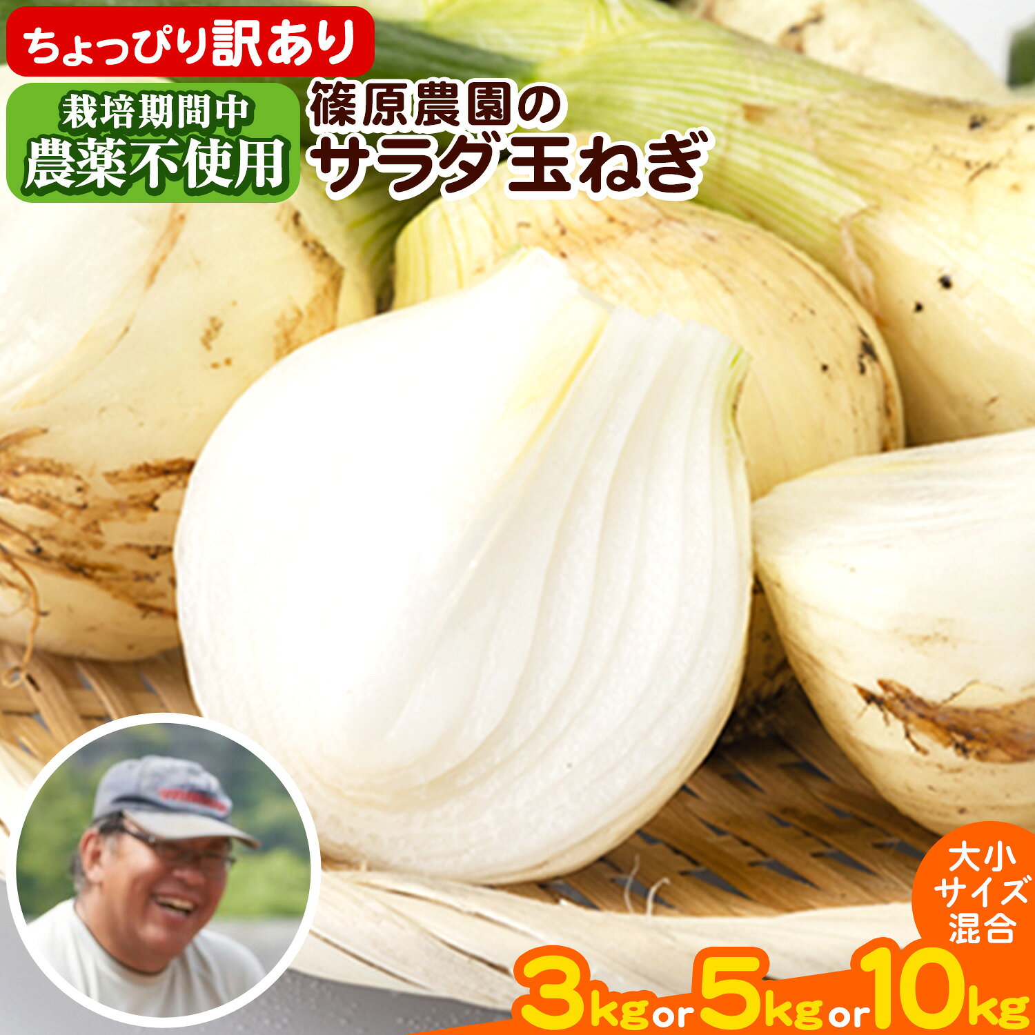 【ふるさと納税】 訳あり 栽培期間中 農薬不使用 サラダ玉ねぎ (S-2Lサイズ) 3kg 5kg 10kg《3月上旬-4月上旬頃出荷予定》熊本県 葦北郡 津奈木町 篠原農園 野菜 玉ねぎ たまねぎ 自然栽培 大小サイズ混合 ちょっと訳あり