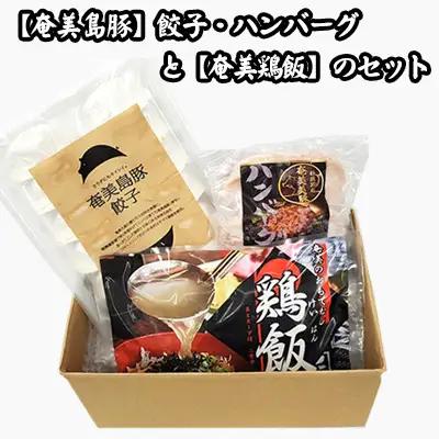 【奄美鶏飯】と【奄美島豚】餃子・ハンバーグのセット 豚肉