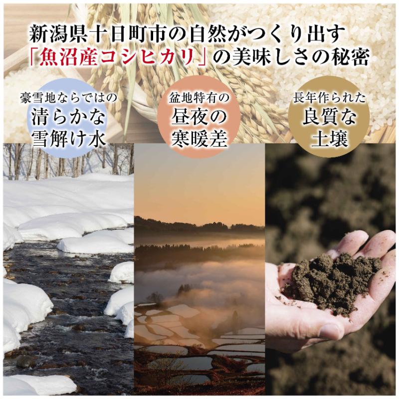 魚沼産 コシヒカリ  2kg 米 こしひかり お米 コメ 新潟 魚沼 魚沼産 白米 送料無料 新潟県産 精米 産直 産地直送 契約農家 お取り寄せ 魚沼三昧 川治米店 新潟県 十日町市