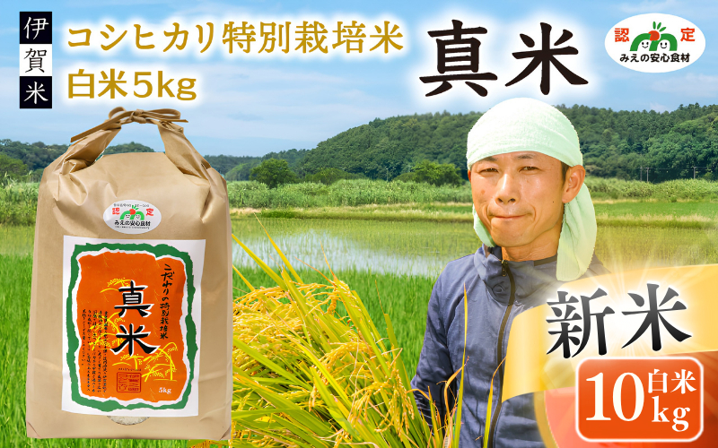 伊賀米コシヒカリ 令和8年産 新米 特別栽培米「真米」白米10kg【ymnk0002A】
