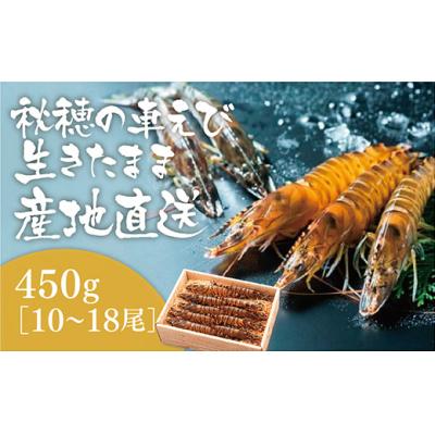ふるさと納税 山口市 活きあいおえび450g(10〜18尾) D090