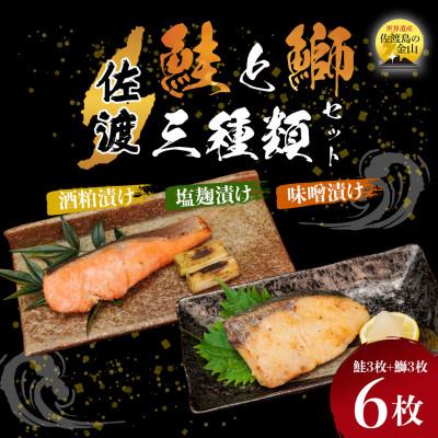 ふるさと納税 佐渡市 鮭と鰤セット〈先行予約・佐渡水揚げ限定・2月以降発送〉日本海の宝・佐渡から届く、極上の海の幸　漬魚