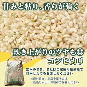 【先行予約・9月以降順次発送】新米!　令和7年　ひたちなか市産　コシヒカリ(玄米)10kg×1袋【1653819】
