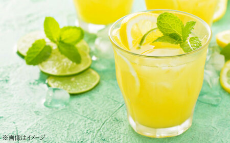 レモンシロップ 400ml×2個 レモン [XBY011] レモン レモン レモン レモン