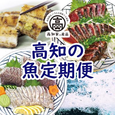 ふるさと納税 高知県 高知のお魚定期便【E06013】
