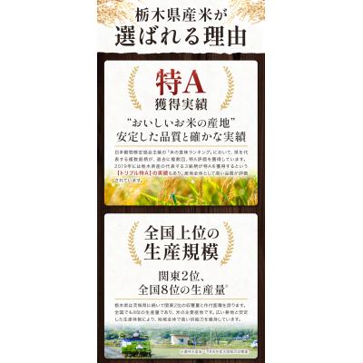 ふるさと納税 野木町 栃木ふるさと米 無洗米5kg6ヶ月定期便《お申込み翌月から出荷》 |  | 01